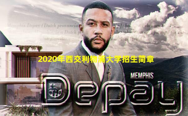 2020年西交利物浦大学招生简章