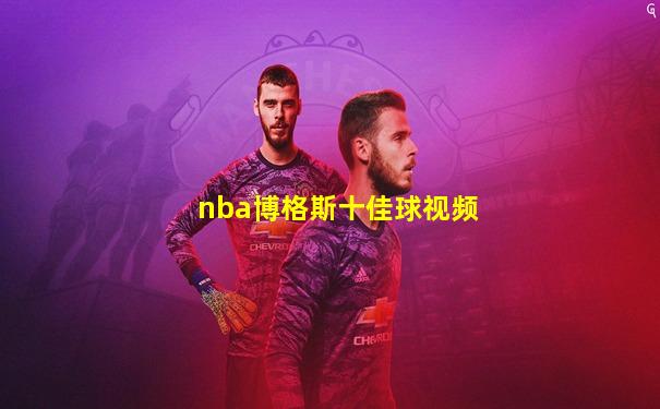nba博格斯十佳球视频