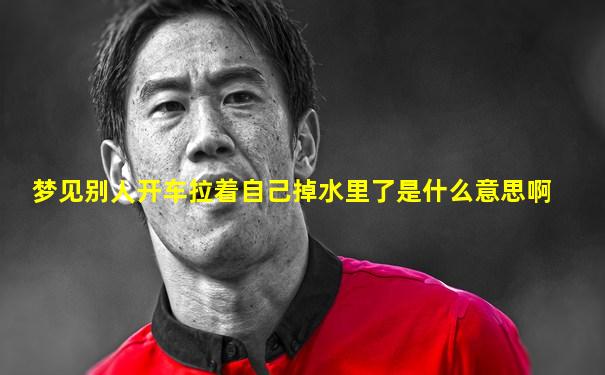 梦见别人开车拉着自己掉水里了是什么意思啊