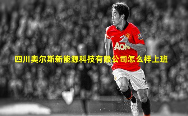 四川奥尔斯新能源科技有限公司怎么样上班