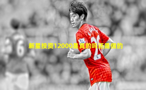 新星投资12000是真的吗还是假的