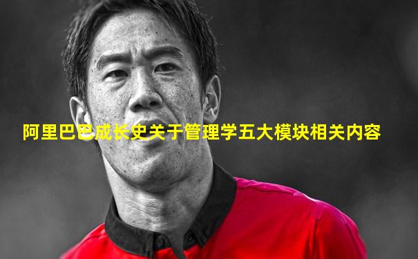 阿里巴巴成长史关于管理学五大模块相关内容